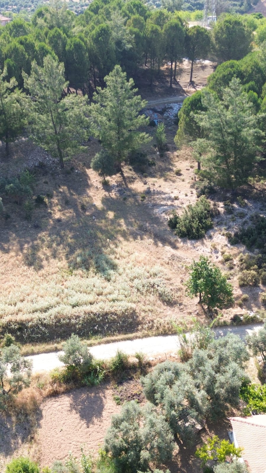 MUĞLA BAYIRDA İMARLI, İKİZ VİLLA İNŞAAT RUHSATI ALINMIŞ MÜSTAKİL 498M2 SATILIK ARSA